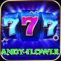 andy flower VIP Pro v1.0.9
