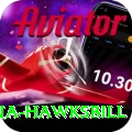 antigua hawksbill Max Pro v1.7.8