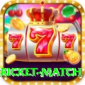 bangladesh cricket match Premium Plus v3.0.6