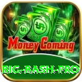 big bash Champion APK v3.5.0