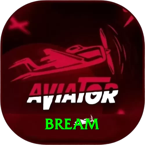 bream Premium Edition v2.5.3 - 2
