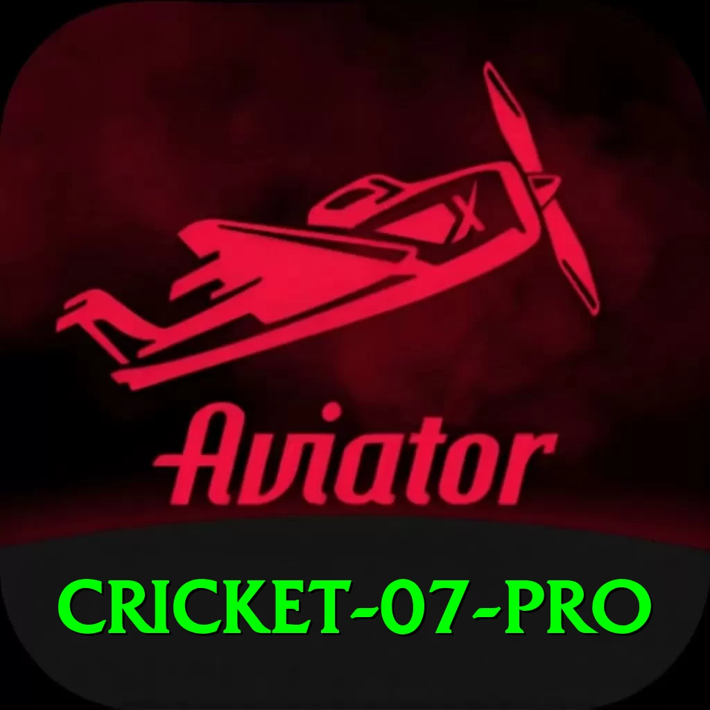 cricket 07 Deluxe APK v4.8.2 - 2