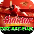 cricket bat Jackpot Mega v4.4.9