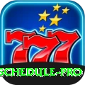 cricket match schedule King APK v1.1.6