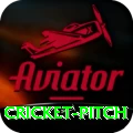 cricket pitch Games (Casino & Earning) Plus v4.4.0