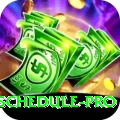 cricket world cup schedule Pakistan Premium v3.1.6