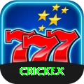crickex Plus Pro vv3.3.8
