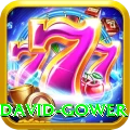 david gower Elite Pro v1.6.6
