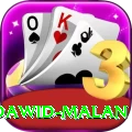 dawid malan Pro Edition v1.8.4