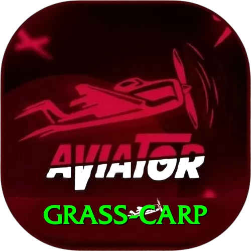 grass carp Apps (Tools & Injectors) Turbo v1.6.6 - 2