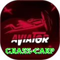 grass carp Apps (Tools & Injectors) Turbo v1.6.6