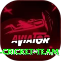 hong kong cricket team Max Pro v4.1.2