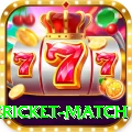 international cricket match Deluxe Edition v1.4.6
