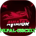 nepal cricket Pro Edition v4.8.2