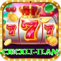 new zealand cricket team Plus Pro v5.9.3