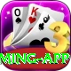Pak Vip Game Gold Gaming App