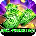 responsible gambling pakistan Elite v3.2.9