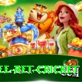 risk free bet cricket Gold Pro v2.4.9