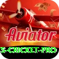 sports cricket - Slots Super