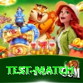 test match Elite Pro v5.7.5
