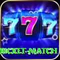 to day cricket match Ultimate v1.8.8