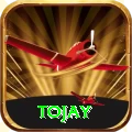 tojay Premium Edition vv4.8.3