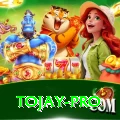 tojay Live Casino VIP