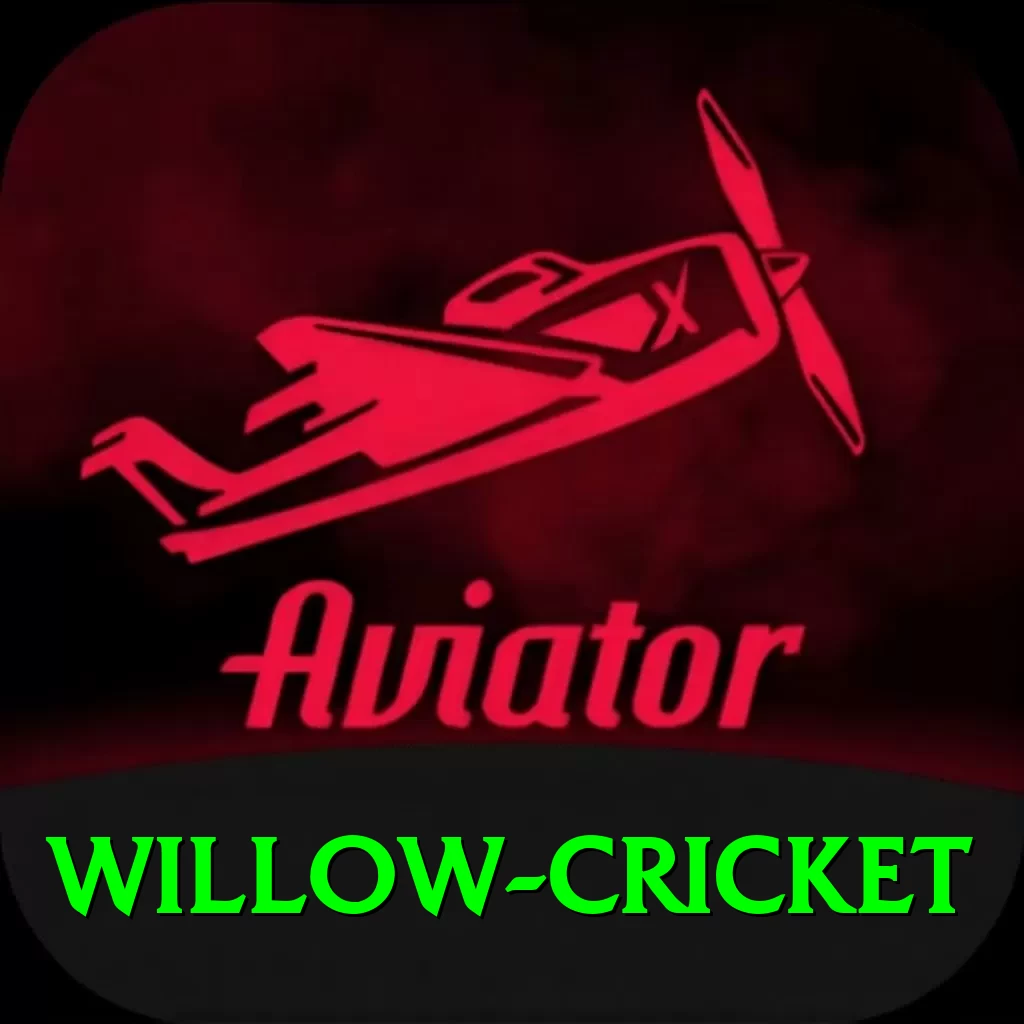 willow cricket Turbo Pro v2.4.2 - 2