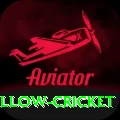 willow cricket Turbo Pro v2.4.2