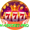willow cricket Cash Premium